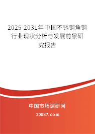 2025-2031年中国不锈钢角钢行业现状分析与发展前景研究报告 2025-2031年中国不锈钢角钢行业现状分析与发展前景研究报告