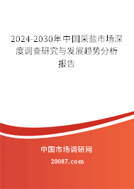 2024-2030年中国采盐市场深度调查研究与发展趋势分析报告