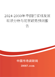 2024-2030年中国打浆机发展现状分析与前景趋势预测报告