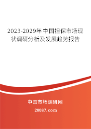 2023-2029年中国担保市场现状调研分析及发展趋势报告