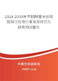 2024-2030年中国地塞米松磷酸钠注射液行业发展研究与趋势预测报告