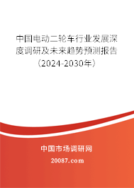 中国电动二轮车行业发展深度调研及未来趋势预测报告（2024-2030年）