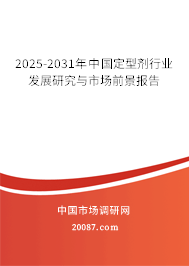 2025-2031年中国定型剂行业发展研究与市场前景报告 2025-2031年中国定型剂行业发展研究与市场前景报告
