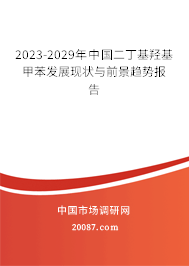 2023-2029年中国二丁基羟基甲苯发展现状与前景趋势报告