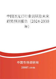 中国泛光灯行业调研及未来趋势预测报告（2024-2030年）