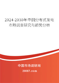 2024-2030年中国分布式发电市场调查研究与趋势分析