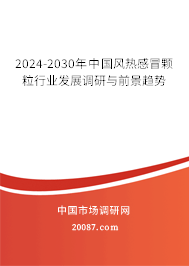 2024-2030年中国风热感冒颗粒行业发展调研与前景趋势