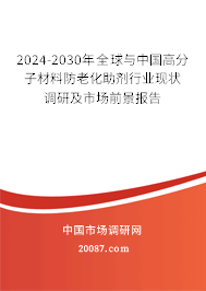 2024-2030年全球与中国高分子材料防老化助剂行业现状调研及市场前景报告