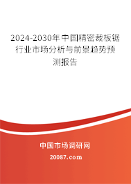 2024-2030年中国精密裁板锯行业市场分析与前景趋势预测报告