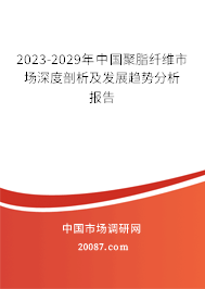 2023-2029年中国聚脂纤维市场深度剖析及发展趋势分析报告