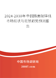 2024-2030年中国路面破碎机市场现状与前景趋势预测报告