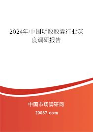 2024年中国明胶胶囊行业深度调研报告