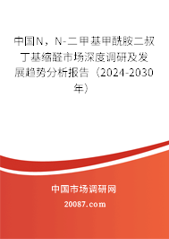 中国N，N-二甲基甲酰胺二叔丁基缩醛市场深度调研及发展趋势分析报告（2024-2030年）