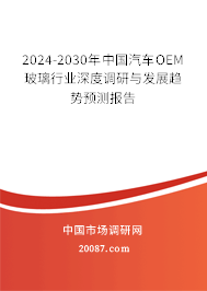 2024-2030年中国汽车OEM玻璃行业深度调研与发展趋势预测报告