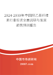 2024-2030年中国羟乙基纤维素行业现状全面调研与发展趋势预测报告