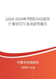 2024-2030年中国SAAS服务行业研究与发展趋势报告