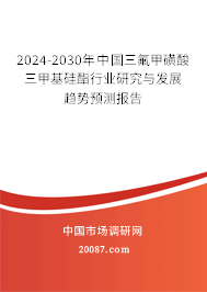 2024-2030年中国三氟甲磺酸三甲基硅酯行业研究与发展趋势预测报告