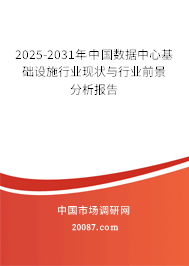2025-2031年中国数据中心基础设施行业现状与行业前景分析报告 2025-2031年中国数据中心基础设施行业现状与行业前景分析报告