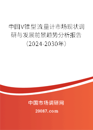 中国V锥型流量计市场现状调研与发展前景趋势分析报告（2024-2030年）