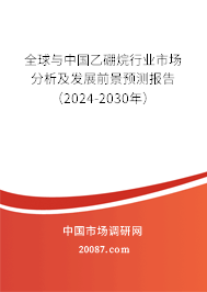 全球与中国乙硼烷行业市场分析及发展前景预测报告（2024-2030年）