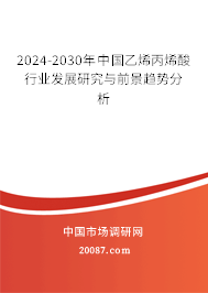 2024-2030年中国乙烯丙烯酸行业发展研究与前景趋势分析