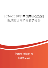 2024-2030年中国中小型型钢市场现状与前景趋势报告