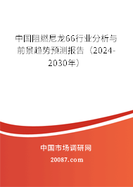 中国阻燃尼龙66行业分析与前景趋势预测报告（2024-2030年）