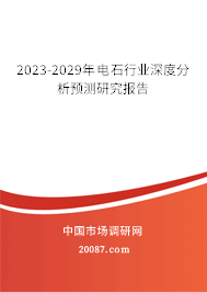 2023-2029年电石行业深度分析预测研究报告