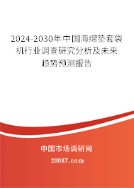 2024-2030年中国海绵垫套袋机行业调查研究分析及未来趋势预测报告