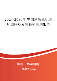 2024-2030年中国薄板轧机市场调研及发展趋势预测报告