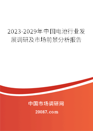 2023-2029年中国电池行业发展调研及市场前景分析报告