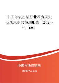 中国苯氧乙酸行业深度研究及未来走势预测报告（2024-2030年）