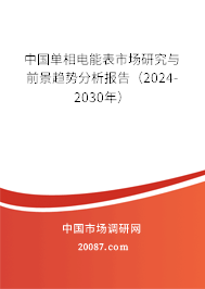 中国单相电能表市场研究与前景趋势分析报告（2024-2030年）