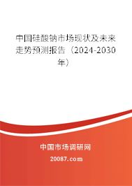 中国硅酸钠市场现状及未来走势预测报告（2024-2030年）