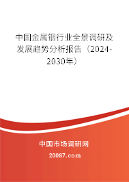 中国金属铟行业全景调研及发展趋势分析报告（2024-2030年）