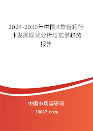 2024-2030年中国K歌音箱行业发展现状分析与前景趋势报告