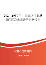 2024-2030年中国靠球行业发展回顾及未来走势分析报告