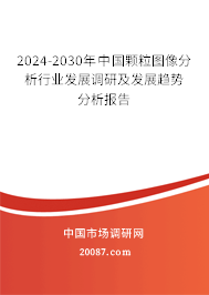 2024-2030年中国颗粒图像分析行业发展调研及发展趋势分析报告