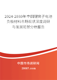 2024-2030年中国锂离子电池负极材料市场现状深度调研与发展前景分析报告