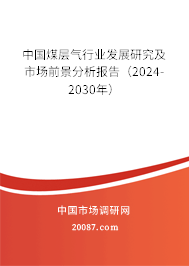 中国煤层气行业发展研究及市场前景分析报告（2024-2030年）