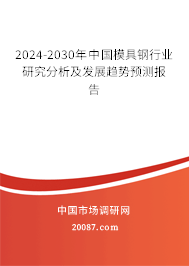 2024-2030年中国模具钢行业研究分析及发展趋势预测报告