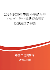 2024-2030年中国N-甲酰吗啉（NFM）行业现状深度调研及发展趋势报告