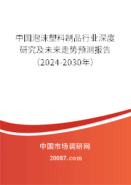 中国泡沫塑料制品行业深度研究及未来走势预测报告（2024-2030年）