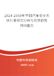 2024-2030年中国汽车安全系统行业研究分析与前景趋势预测报告