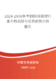 2024-2030年中国轻烧镁球行业市场调研与前景趋势分析报告