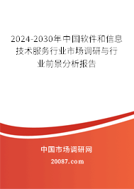 2024-2030年中国软件和信息技术服务行业市场调研与行业前景分析报告