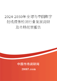 2024-2030年全球与中国数字射线成像检测行业发展调研及市场前景报告