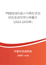 中国微机热量计市场现状调研及发展前景分析报告（2024-2030年）