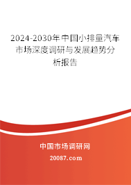 2024-2030年中国小排量汽车市场深度调研与发展趋势分析报告