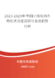 2023-2029年中国小微电机市场现状深度调研与发展趋势分析